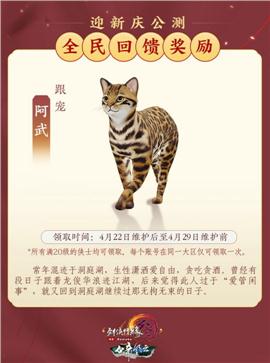 天龙八部私服剑侠凌云